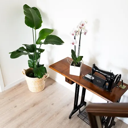 La Dimora Di Zoe Accommodatie bij particulieren Casalserugo